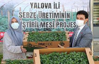 Yalova’da çiftçilere 600 bin fide dağıttı