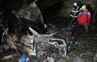 Yanan araçtaki ikinci ölenin insan değil köpek...