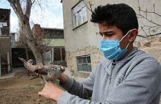 Yaralı atmacaya sahip çıktı, tedavi ettirip doğaya...