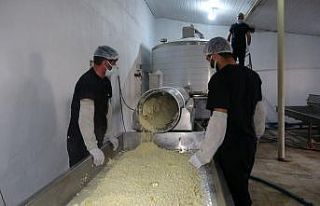 Yarım asırlık işletme, sofraları süsleyen kaşar...