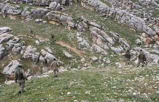 Yaşlı kadın dağ taş her yerde aranıyor