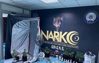 Yatak odasındaki bez gardırop “uyuşturucu serası”...