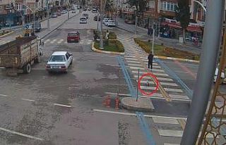 Yaya geçidini kullanan kedi MOBESE kameralarına...