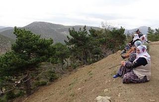 Yaylada kaybolan çocuktan haber alınamıyor