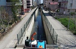 Yaz öncesi vektör ile mücadele çalışması