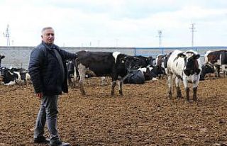 Yem fiyatlarına gelen zamlar üreticileri zora sokuyor