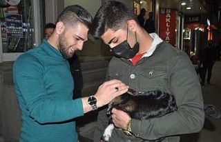 Yeni doğan oğlağa şefkat eli