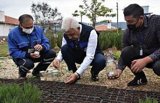 Yerel tohumlar toprakla buluştu