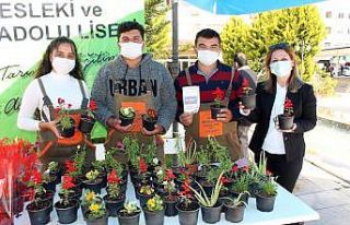 Yetiştirdikleri çiçekler öğrencilerin bütçesine...