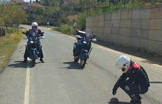 Yol ortasındaki kaplumbağaya jandarmadan yardım...