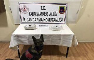 Yolcu otobüsünde uyuşturucu ile yakalanan 2 kişi...