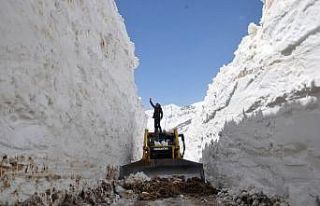 Yüksekova’da 8 metrelik kar tünelleri