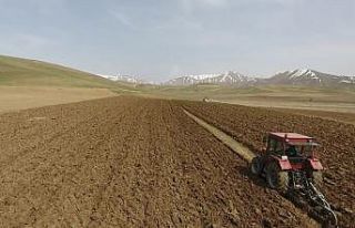 Yüksekovalı çiftçilerden ekim seferberliği