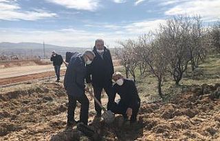 Yunus Emre anısına alıç fidanı dikildi