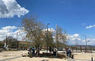 Yunus Emre ve Tabduk Emre Türbesi’nin peyzaj çalışması...