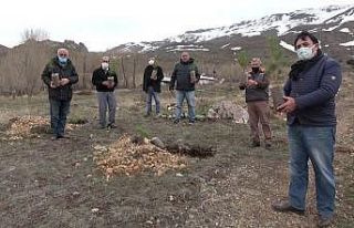 Yüzlerce fidanı toprakla buluşturmak için kilometrelerce...