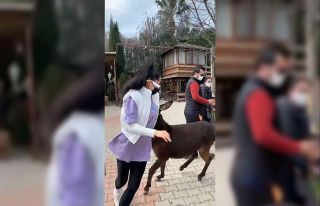 Zeynep Öztürk’ün sıpayla imtihanı