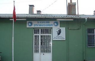 Zeytin Kooperatifi, üyelerine akaryakıt kartı dağıtıyor