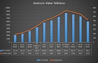 Zirveyi gören Samsun’da vakalar 3 haftadır düşüşte