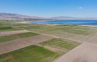 12 yıl önceki kuraklık tekrar baş gösterdi, kuruyan...