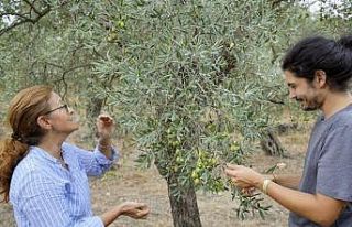 14. Ulusal Naturel Sızma Zeytinyağı Kalite Ödülleri...