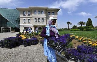 170 bin mevsimlik çiçek toprakla buluşuyor