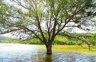 1 milyon 500 bin lira hibe desteği