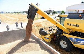 20 ton ürün, bulgur halinde ilçe sakinlerine dağıtacak,...