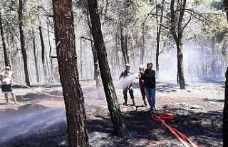2 hektarlık alanın kül olduğu orman yangını...