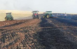 30 Dönümlük arpa küle döndü