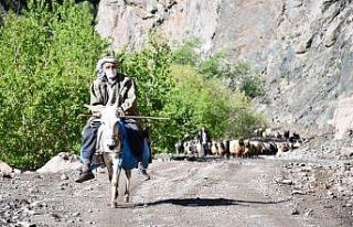 30 gün yol yürüyen göçerler yaylaya ulaştı