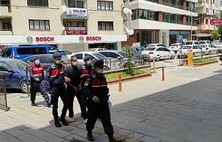 33 yıl hapis cezası olan şüpheliyi jandarma yakaladı