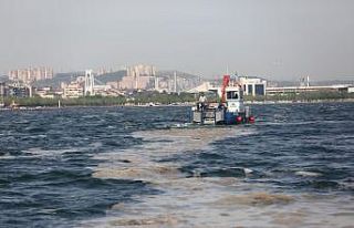38 günde 100 ton deniz salyası toplandı
