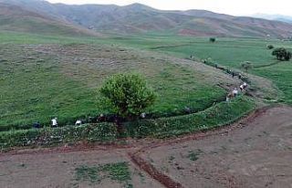 4 kilometrelik sulama kanalını 70 yıldır imece...