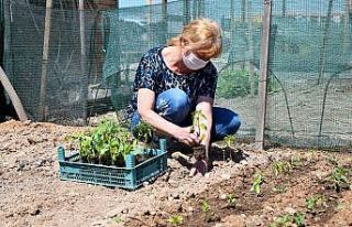 7 bin 480 fide toprak ile buluşacak