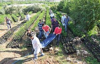 9 yıllık esrarengiz cinayetin faili kiracı çıktı