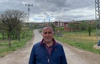 Aç kalan yavru ayı köye indi