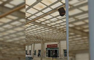 Acil servisi arılar bastı