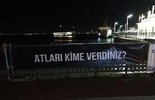 Adalar’da hayvanseverlerden İBB’ye “kayıp...