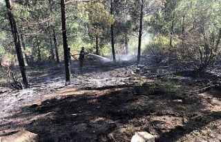 Adana OBM yangınlara karşı hazırlıklarını tamamladı