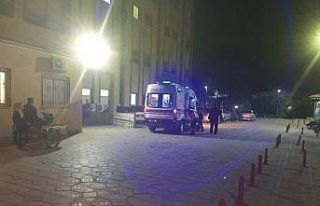 Adıyaman’da ağaç kavgası: 1 ölü