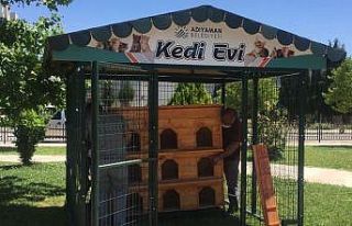Adıyaman’da kedi evi sayısı arttırılıyor
