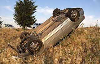 Adıyaman’da keklik sürüsü kazaya neden oldu