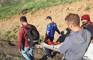 AFAD ve UMKE dağdan düşen vatandaş için seferber...