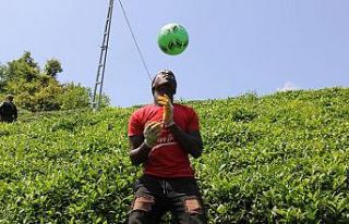 Afrikalı çay işçileri molalarını futbol oynayarak...