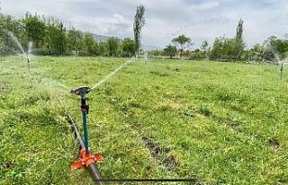 Afyonkarahisar’da bu sezon 590 bin dekar tarım...