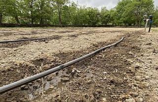 Afyonkarahisar’da sulama sezonu başladı