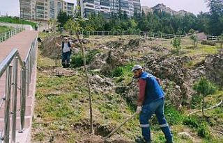 Ağaçlandırma seferberliğinde vatandaş ve belediye...