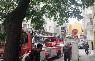 Ağaçta kalan kediyi itfaiye kurtardı