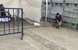 Ağrı’da polis yavru köpekleri sütle besledi